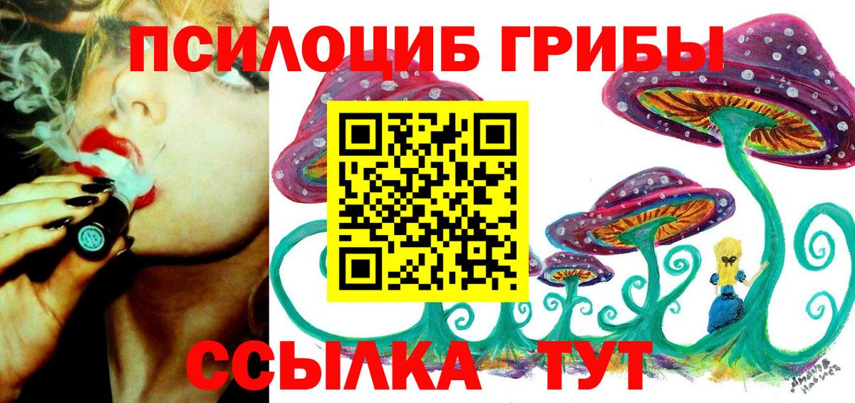 Псилоцибиновые грибы MAGIC MUSHROOMS  Вход с VPN  Сальск 