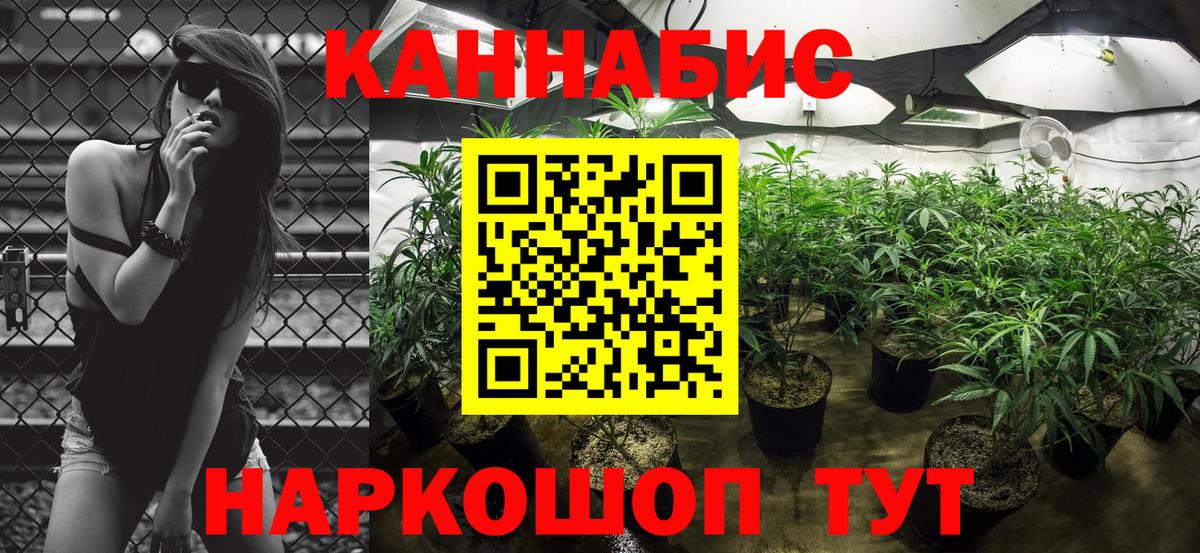 Шишки марихуана сатива Сальск